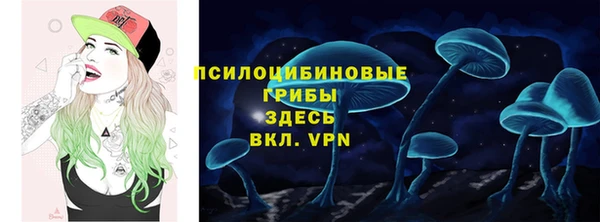 СК Абинск