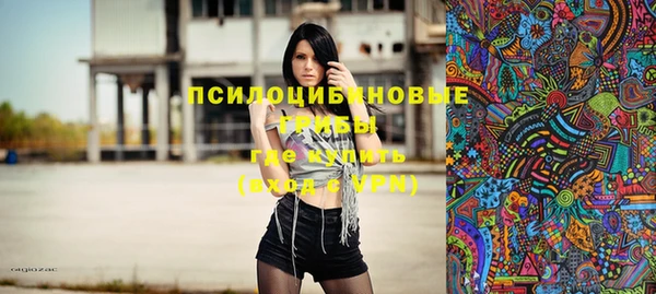 гашик Приозерск
