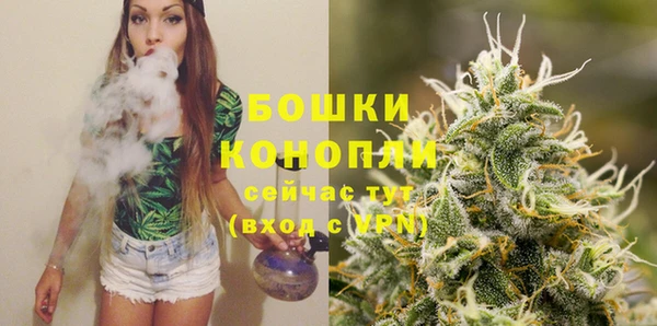 PSILOCYBIN Протвино