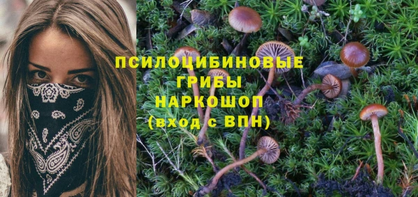 экстази Пролетарск