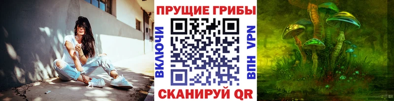 хочу наркоту  kraken сайт  Псилоцибиновые грибы Psilocybe  Весьегонск 